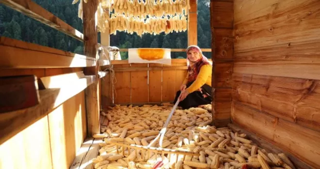Artvin’in köylerinde kış hazırlıkları başladı