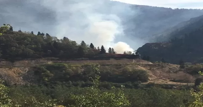 Artvin’in Murgul ilçesinde örtü yangını