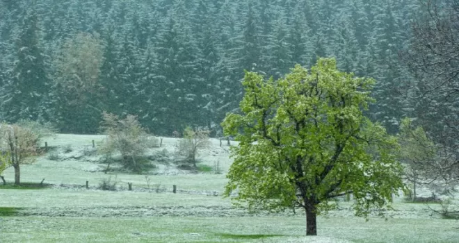 Artvin’in yüksek kesimlerinde kar etkili oldu
