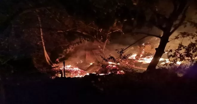 Artvin’in Yusufeli ilçesinde yangın
