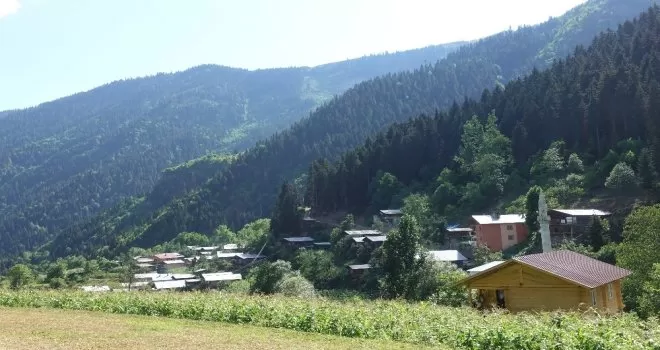 Artvin Yanıklı köyünde 300 yıllık kurban geleneği yaşatılıyor
