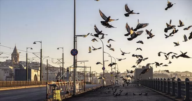 20 yaş altı sokağa ne zaman çıkabilecek?
