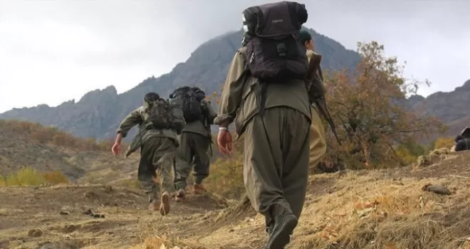 PKK son iki yılda 316 çocuğu dağa kaçırdı
