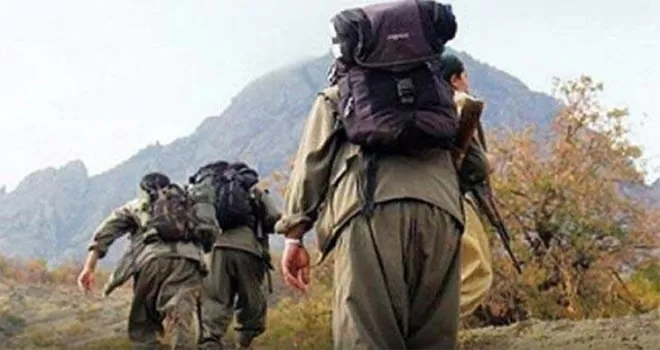 İkna yöntemiyle bir terörist daha teslim oldu