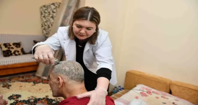 Asırlık çınarlara bayram tıraşı
