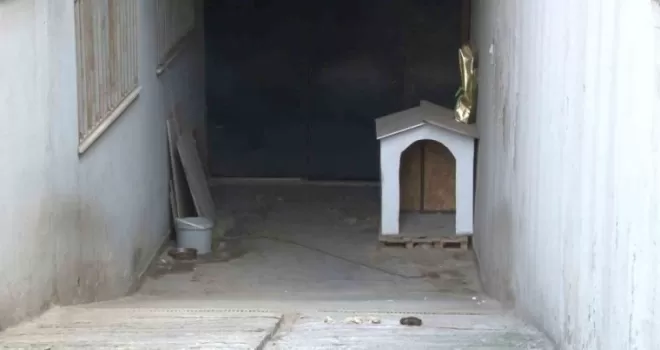Ataşehir’de köpeğin saldırdığı kadın ağır yaralandı
