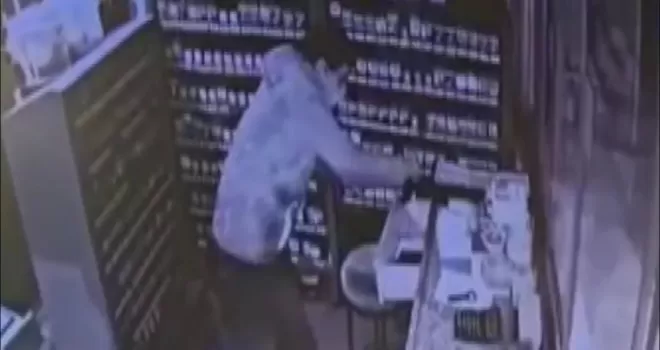 Ataşehirde esnafın kabusu olan suç makinesi yakalandı
