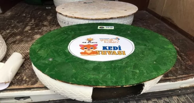 Atıklardan kedi yuvası
