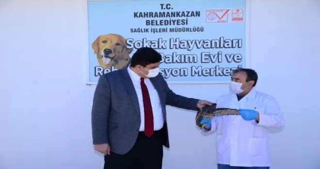 Atmacayı kanadından vurdular

