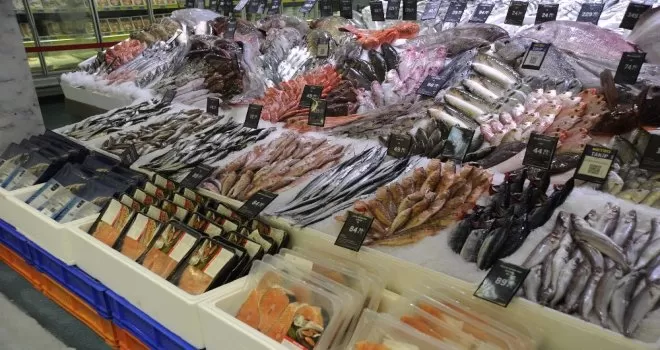 Av sezonu başladı, zincir marketlerde reyonlar balık doldu
