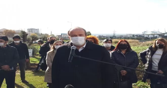 Avcılar’da kadınlar için zeytin ağaçları dikildi
