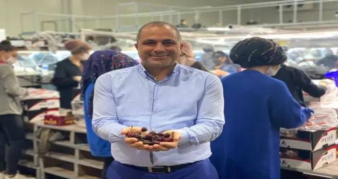 Avrupa, Türk kirazını bekliyor
