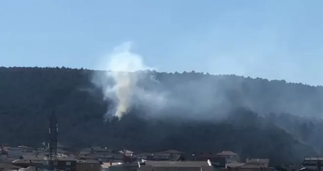 Aydos Ormanı’nda korkutan yangın
