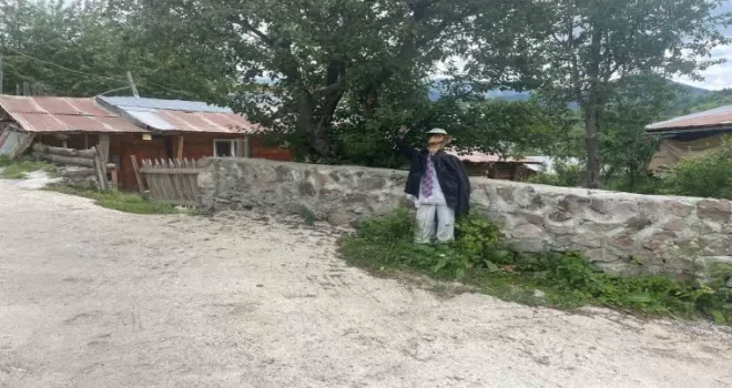 Ayılar Artvin’de köylüleri canından bezdirdi: “Ağaçlardan meyve toplayamıyoruz“
