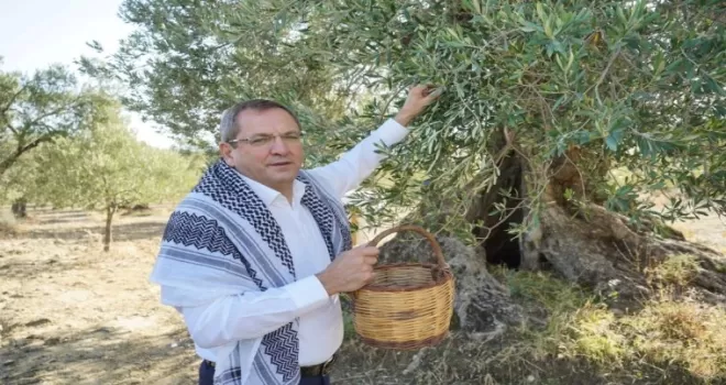 Ayvalık, zeytin ve zeytinyağının buluşma noktası olacak
