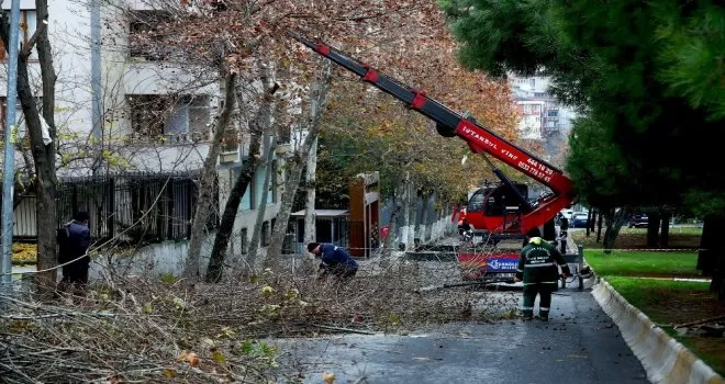 Bağcılar’da ağaçlara kış bakımı yapılıyor
