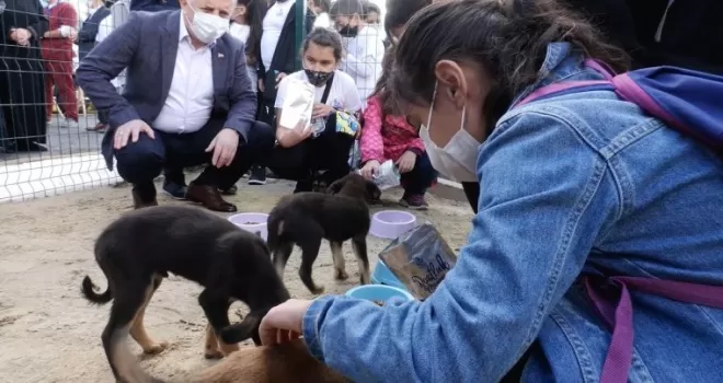 Bağcılar’da, çocuklar can dostlarıyla sevgi dolu bir gün geçirdi
