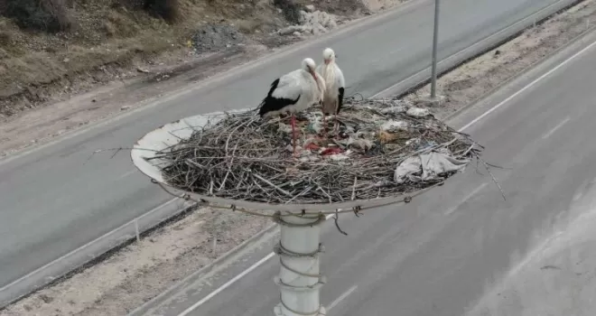 Baharın habercisi leylekler Leylek Oteli’ne ulaştı
