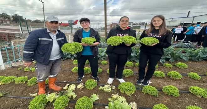 Bahçem Çayırova’da öğrencilerden kıvırcık ve roka hasadı