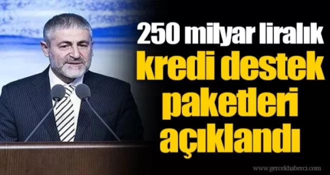 Bakan açıkladı: 250 Milyar Lira Kredi hazır