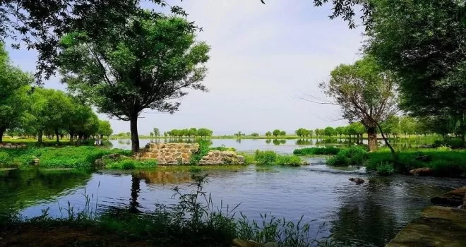 Bakan Kurum: “204 yeni millet bahçesi yapıyoruz“
