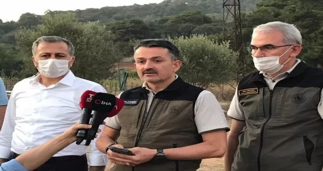 Bakan Pakdemirli’den Heybeliada açıklaması
