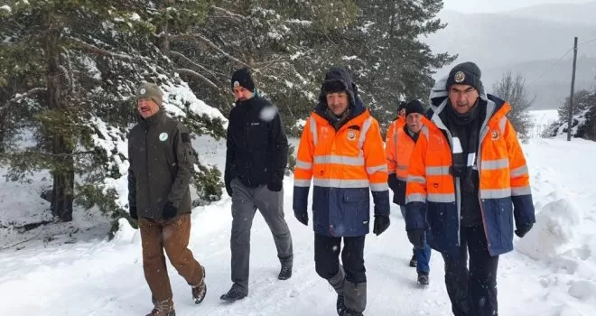 Bakan Pakdemirli, iyileşen gökdoğanı doğaya bıraktı
