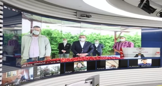 Bakan Pakdemirli video konferansla kiraz hasadına katıldı
