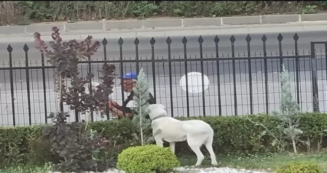 Bakan Selçuk sosyal medya hesabında köpeğe gazete okuyan vatandaşı paylaştı
