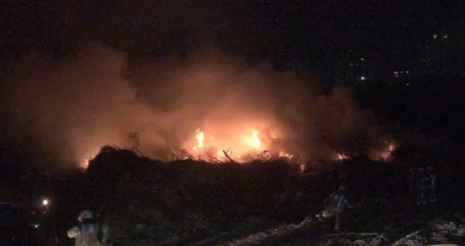 Bakırköy’de ağaçlık alanda korkutan yangın
