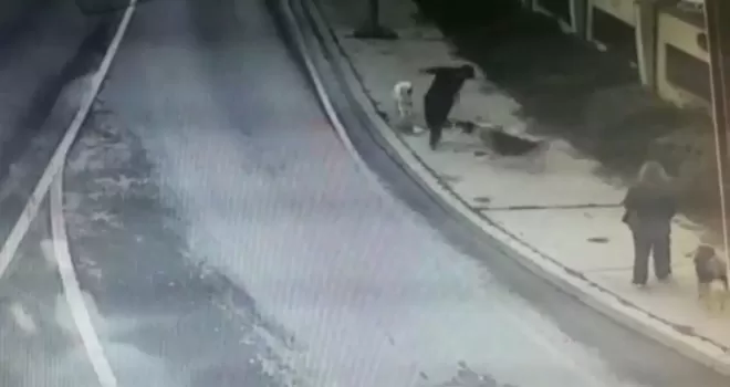 Bakırköy’de dehşet dolu anlar, iş adamına 6 köpek saldırdı
