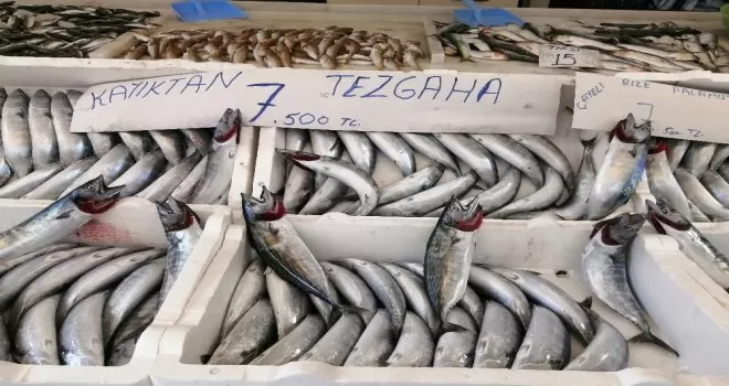 Balık alanda razı satan da
