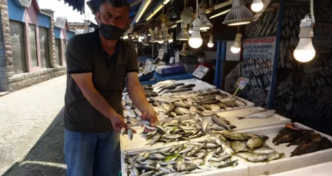 Balık fiyatları el yakıyor!