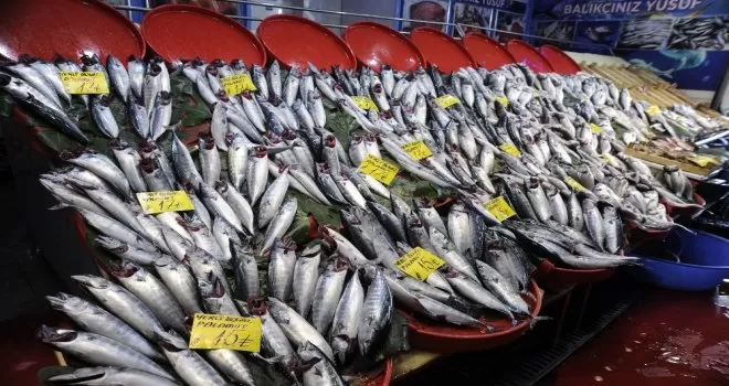 Balık tezgahlarında palamut bolluğu yaşanıyor
