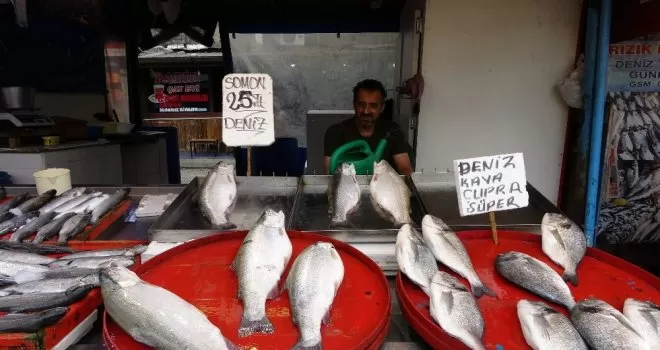 Balıkçı esnafı  tarihinin en durgun dönemini yaşıyor
