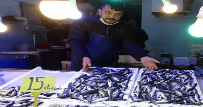 Balıkçılar istavrit ile teselli buldu
