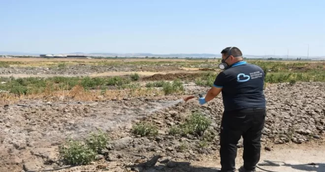 Balıkesir’de ilaçlama ekipleri 7/24 sahada