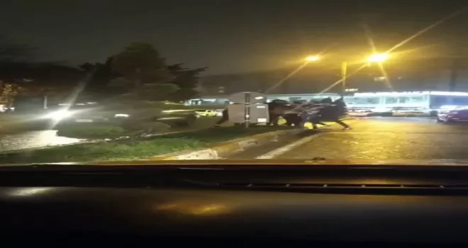 Bar çıkışında bıçaklı kavga kamerada
