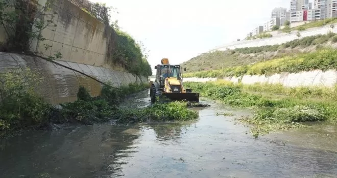 Başakşehir’de sivrisinek mücadelesi larvalardan başlıyor
