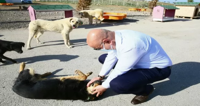 Başkan Altınok’tan can dostlara yakın ilgi

