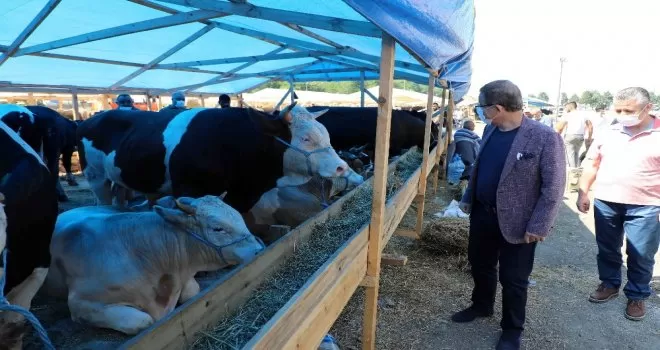 Başkan Deniz Köken, kurban satış alanında incelemelerde bulundu
