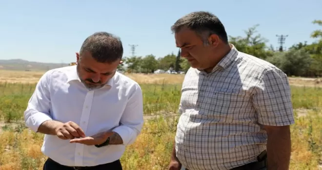 Başkan Ercan, biçerdövere binerek ekin biçti
