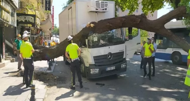 Başkent’te çınar ağacı kamyonun üzerine devrildi
