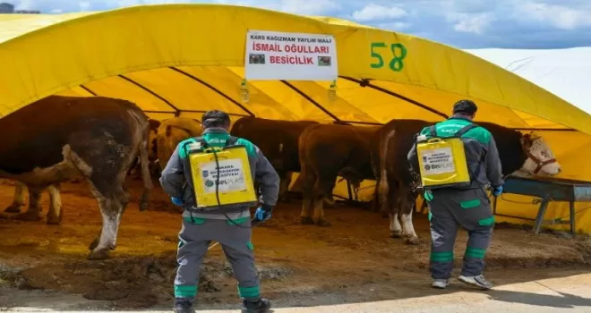 Başkent’te kurban alanlarına sıkı denetim