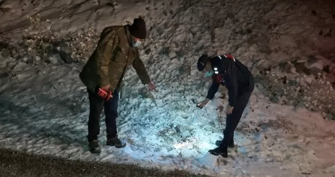 Başkent’te kurtlar dokuz koyunu telef etti
