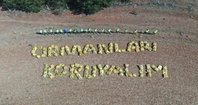 Başkent’te ormanlara bakım çalışması
