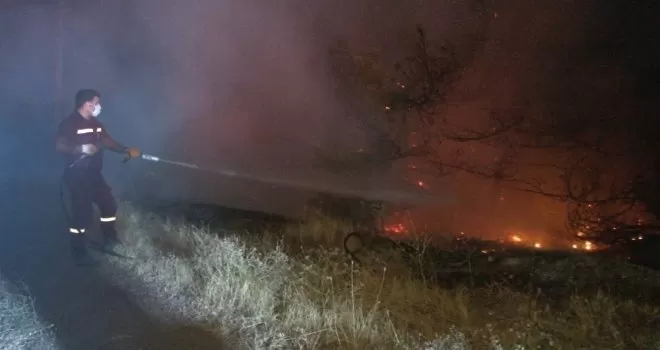 Başkent’te ormanlık alanda yangın
