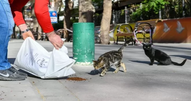 Başkent’te sokak hayvanları unutulmuyor
