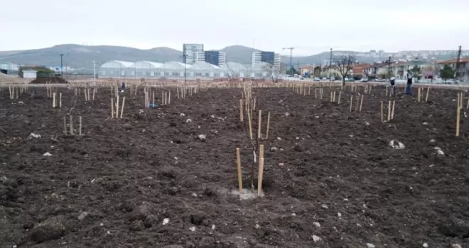 Başkentte halka açık meyve bahçesi
