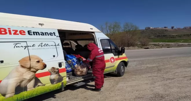 Başkentte sokak hayvanlarını besleme timi kuruldu
